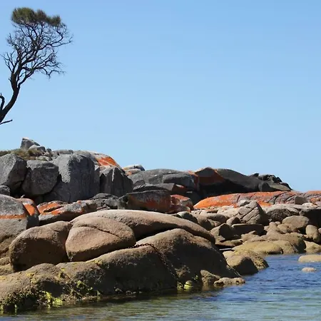 Bay Of Fires Seachange Ocean Frontage Binalong Bay Exterior photo