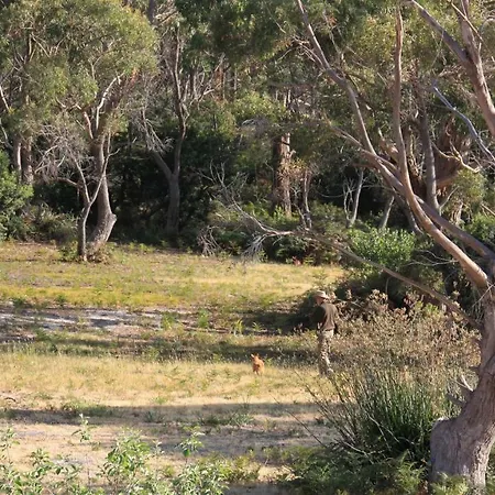 Bay Of Fires Seachange Ocean Frontage Binalong Bay Exterior photo